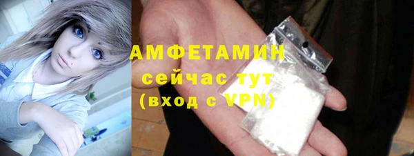 spice Богородск