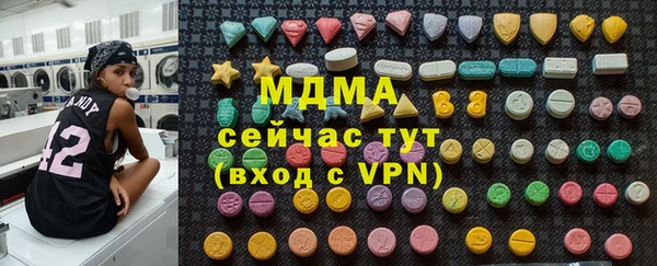 spice Богородск
