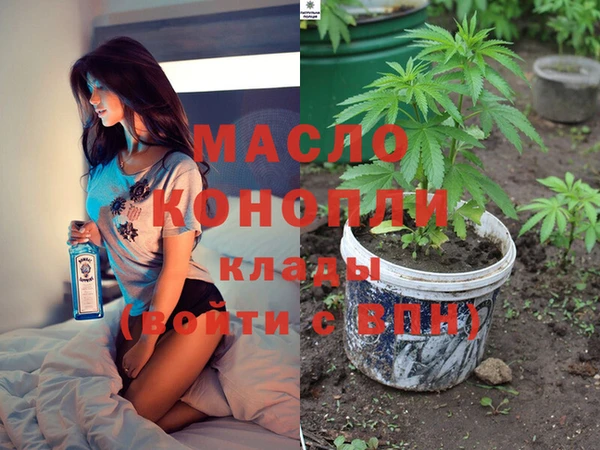 spice Богородск
