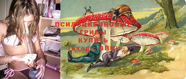 таблы Богданович