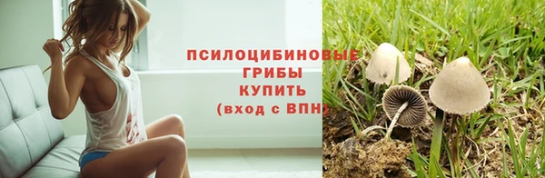 таблы Богданович