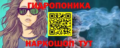 спайс Гай